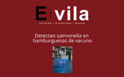 Detectan salmonella en hamburguesas de vacuno