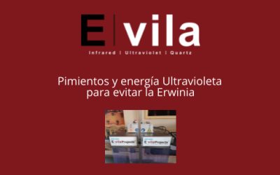 Pimientos y energía Ultravioleta para evitar la Erwinia