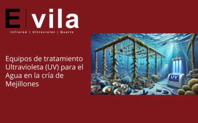 Equipos de tratamiento Ultravioleta (UV) para el Agua en la cría de Mejillones