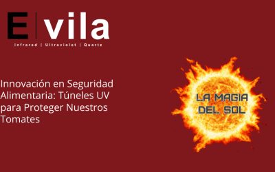 Innovación en Seguridad Alimentaria: Túneles UV para Proteger Nuestros Tomates