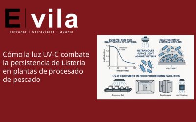Cómo la luz UV-C combate la persistencia de Listeria en plantas de procesado de pescado