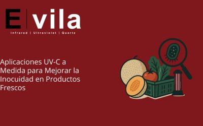 Aplicaciones UV-C a Medida para Mejorar la Inocuidad en Productos Frescos