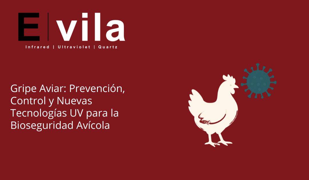 Gripe Aviar: Prevención, Control y Nuevas Tecnologías UV para la Bioseguridad Avícola