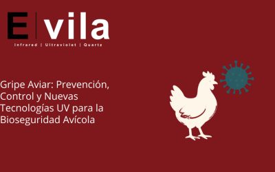 Gripe Aviar: Prevención, Control y Nuevas Tecnologías UV para la Bioseguridad Avícola