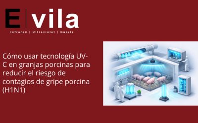 Cómo usar tecnología UV-C en granjas porcinas para reducir el riesgo de contagios de gripe porcina (H1N1)