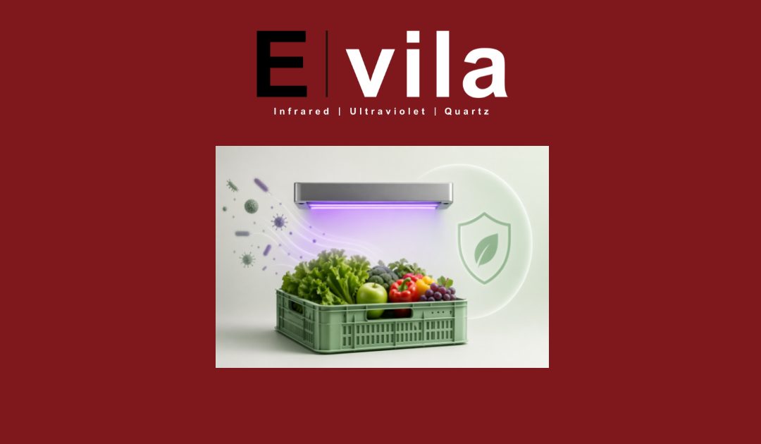 UV: una tecnología innovadora para proteger la seguridad de frutas y verduras
