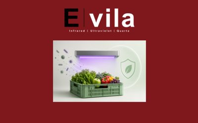 UV: una tecnología innovadora para proteger la seguridad de frutas y verduras